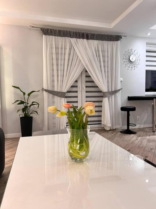 Apartament Zamojski Mlynska Замосць Экстерьер фото