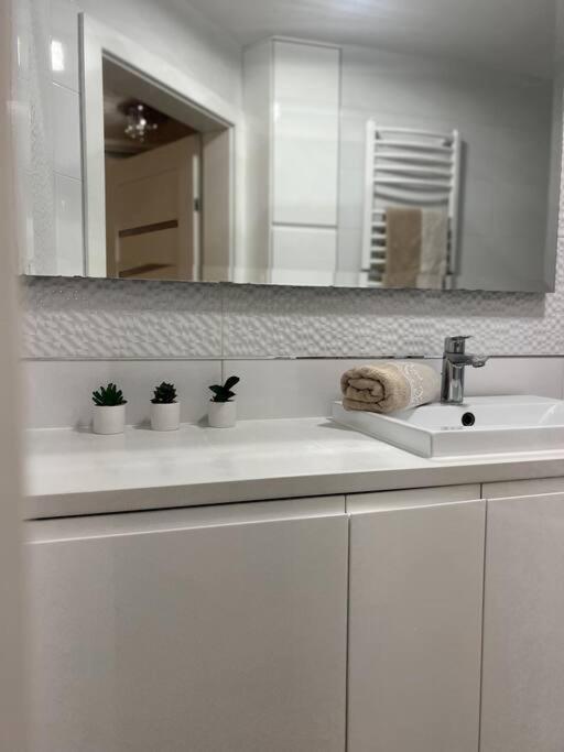 Apartament Zamojski Mlynska Замосць Экстерьер фото